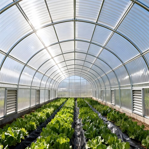 High impact polycarbonate - 5m,