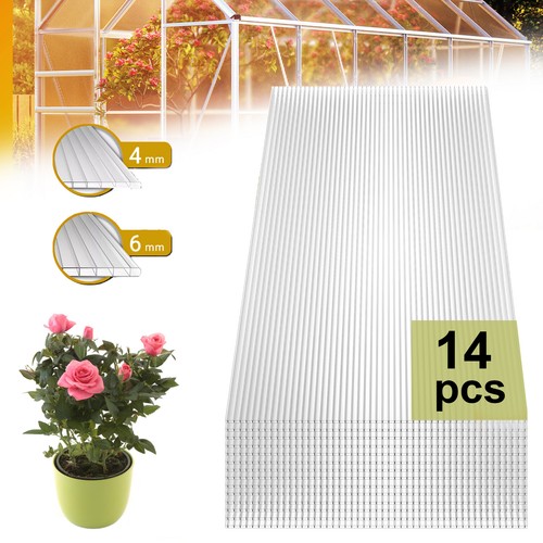 Pack clear polycarbonate - clear,